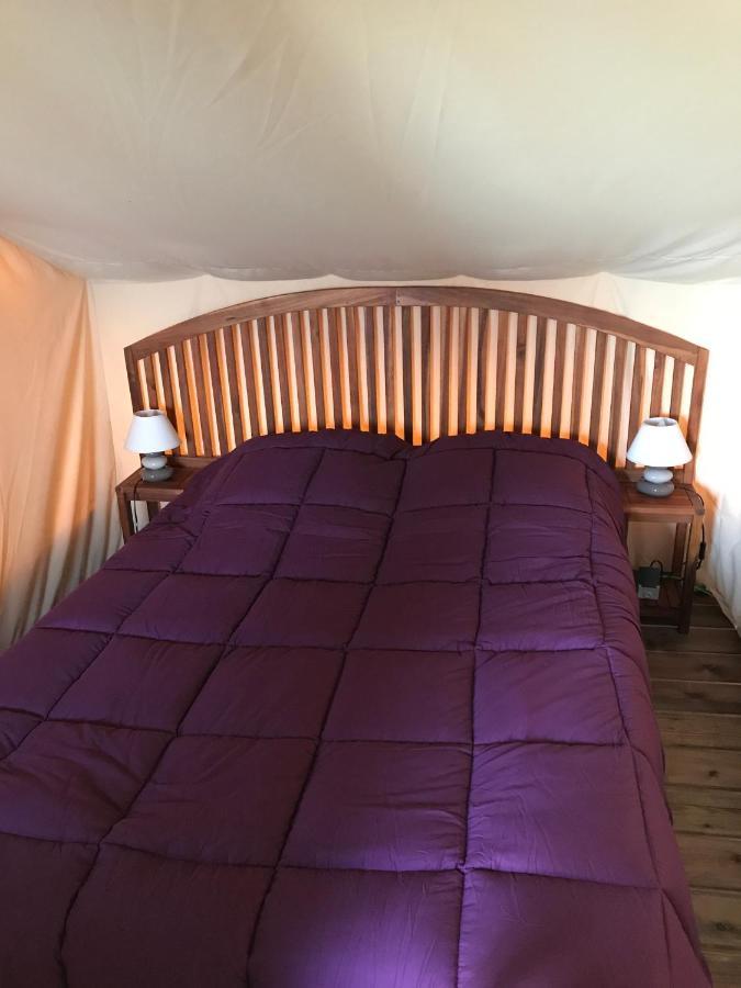 Camping Kanguro Sant Pol de Mar Kültér fotó